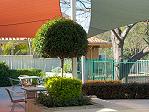 Aegis Ascot - picture-04-terrace.jpg Aegis Ascot - picture-04-terrace.jpg